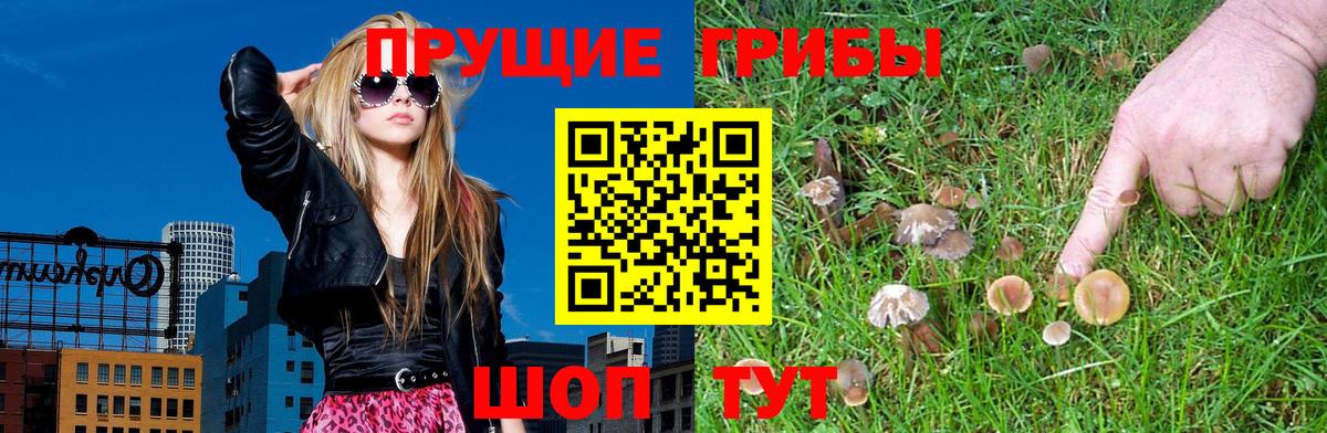 Галлюциногенные грибы мухоморы  Вход с VPN  Серов 