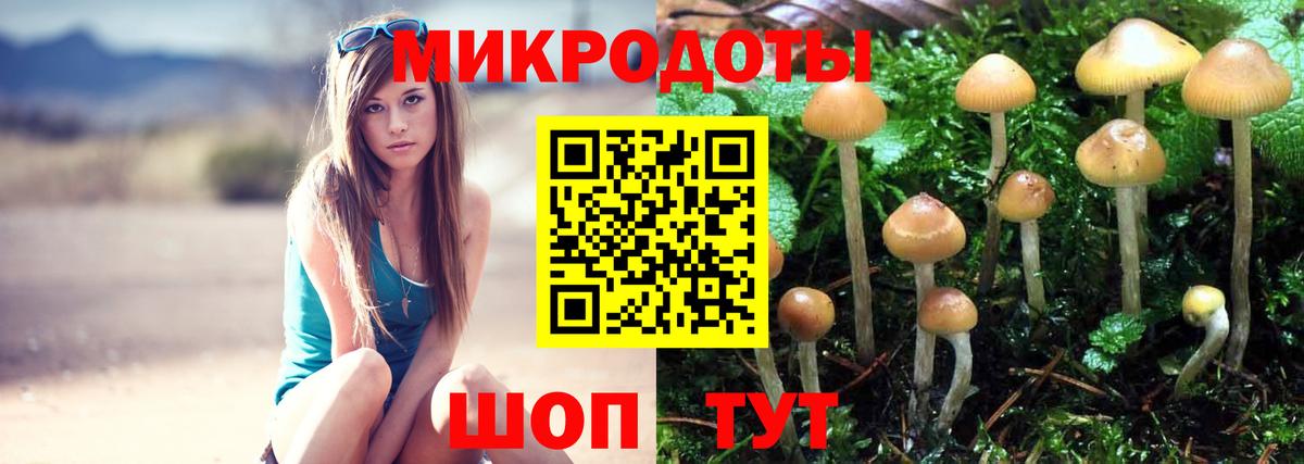 Галлюциногенные грибы мицелий Серов